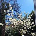 Apartment Ena, Strict Center, Sea View Opatija