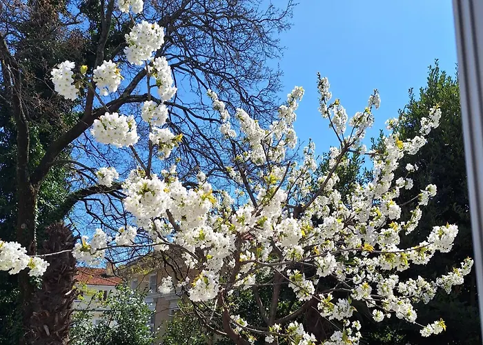 Апартаменти Ena, Strict Center, Sea View Опатія